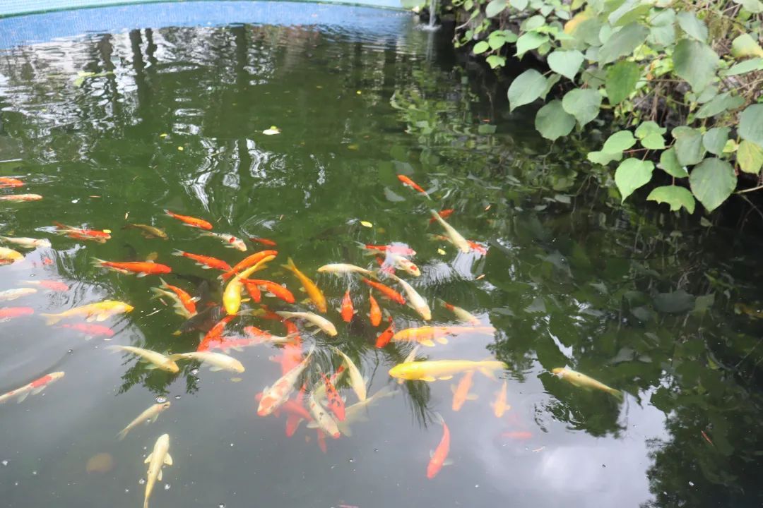 珠海市南方爱迪技工学校